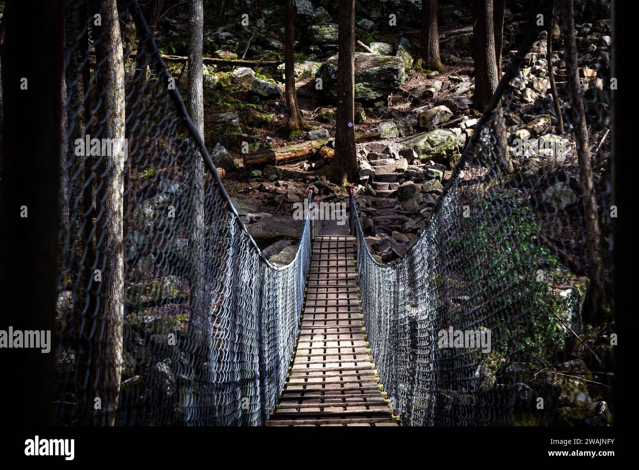 Una vista panoramica di un vecchio ponte sospeso nel bosco alle Foster Falls Foto Stock
