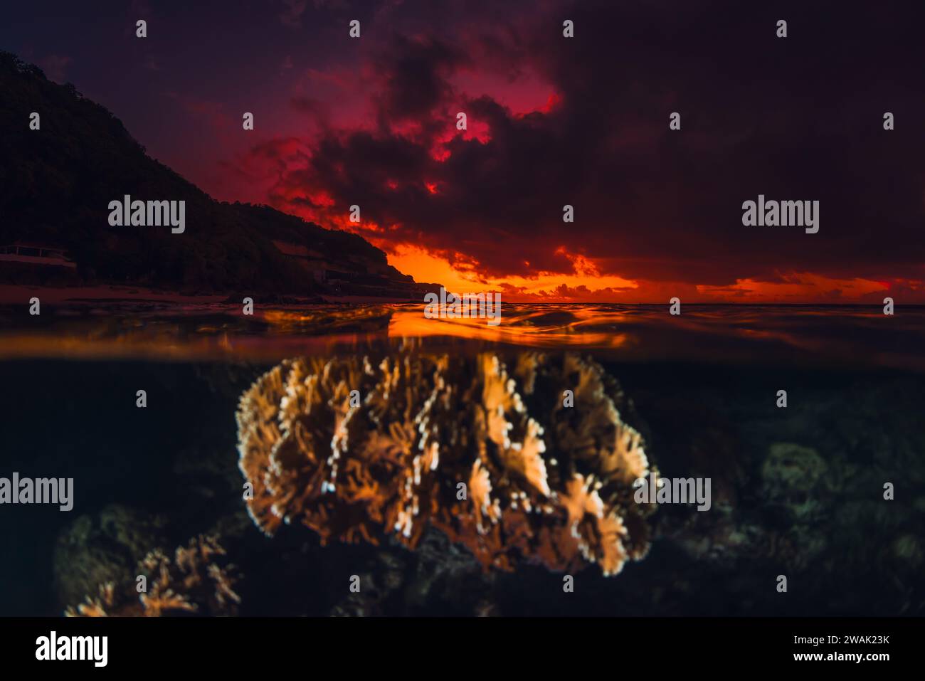Paesaggio marino con coralli sott'acqua e colori vivaci al tramonto o all'alba, vista divisa con luce artificiale Foto Stock