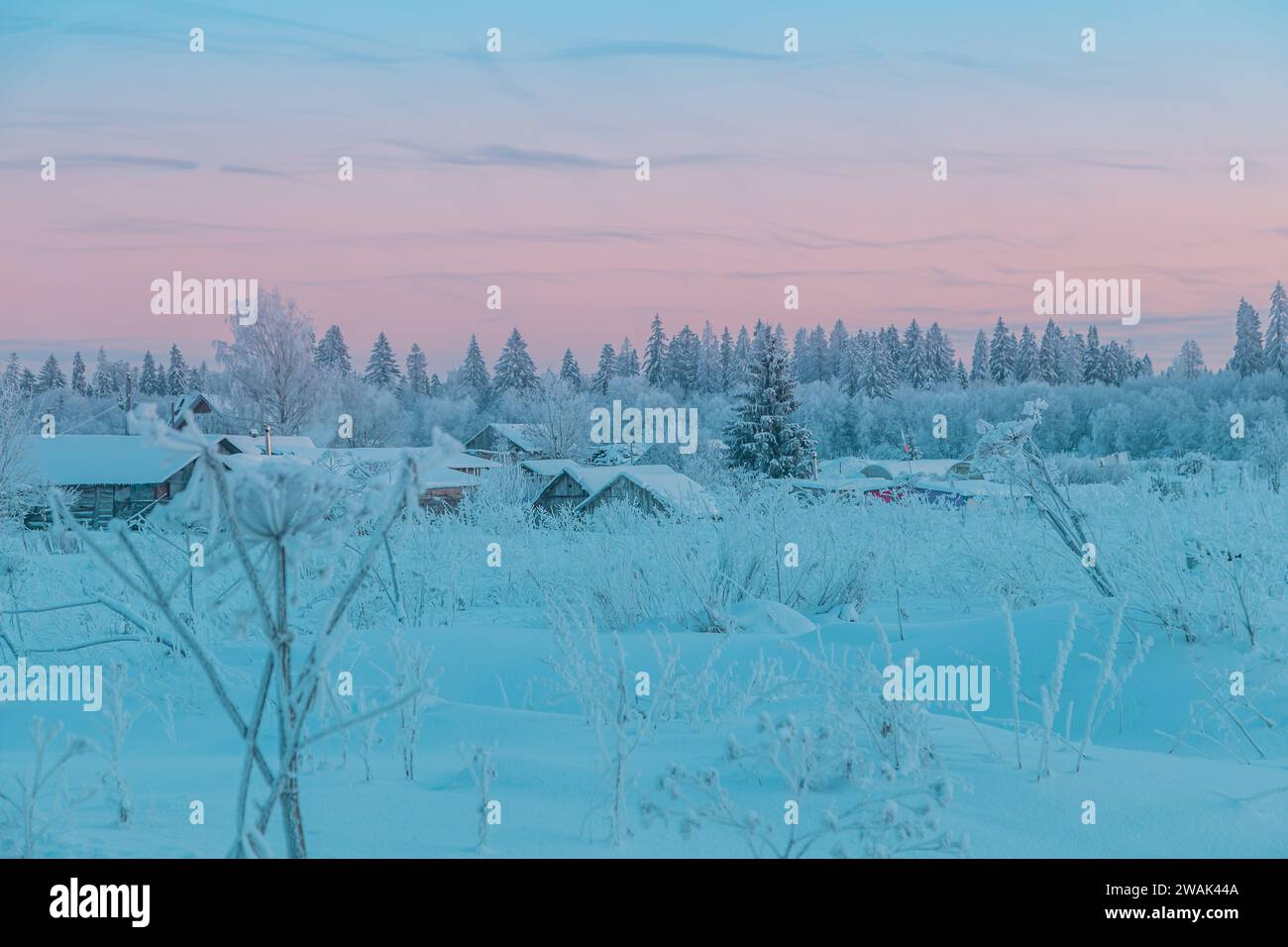 Splendido paesaggio invernale con alberi innevati e case. Cielo serale nei toni blu e rosa. Foto Stock