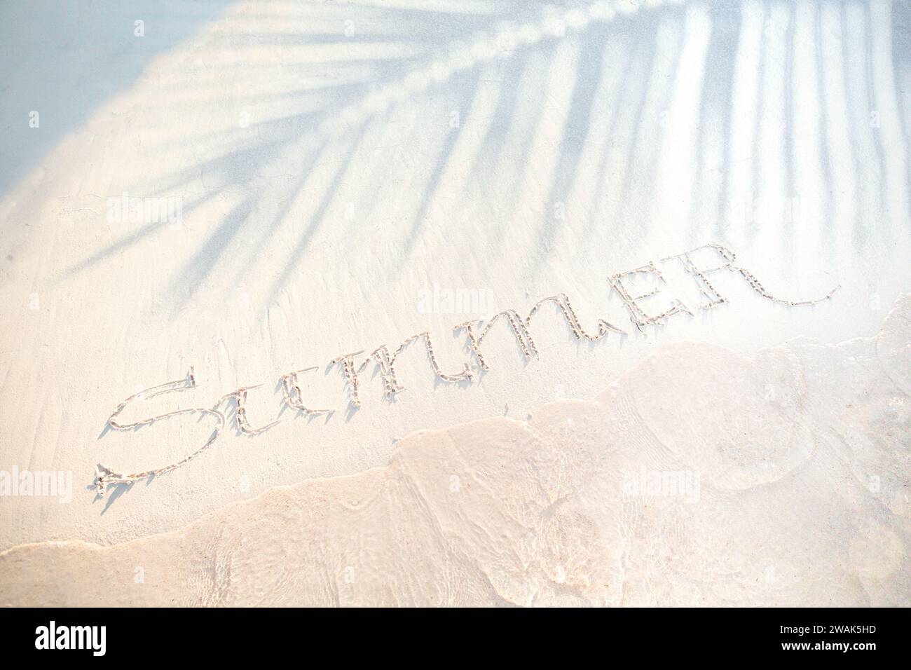 banner estivo per vacanze tropicali. spiaggia sabbiosa, ombra di palme e onde sull'orlo dell'acqua; banner per le vacanze estive con spazio copia Foto Stock