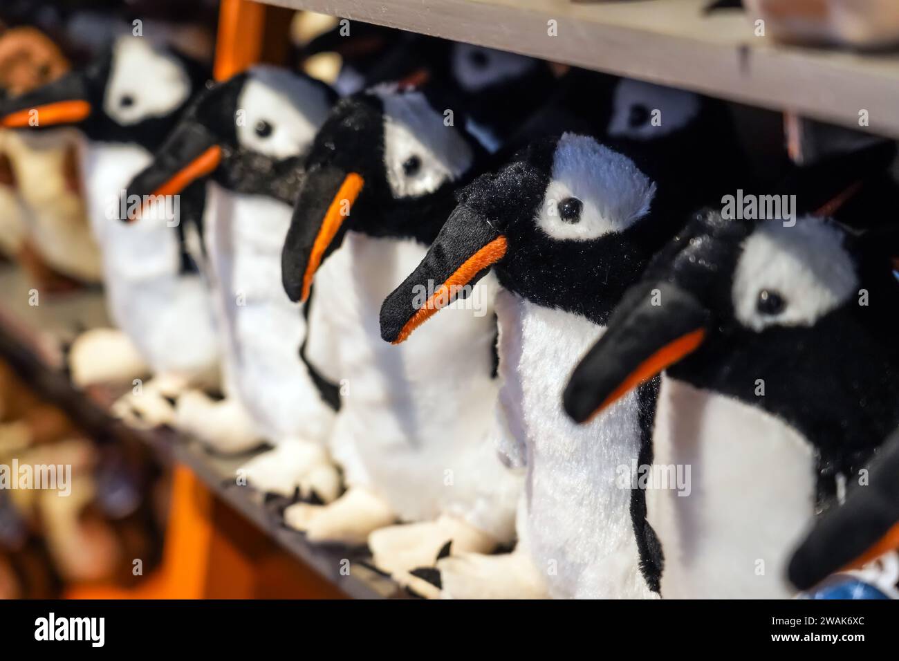 Molti graziosi pinguini giocattolo nel negozio di giocattoli. Foto Stock