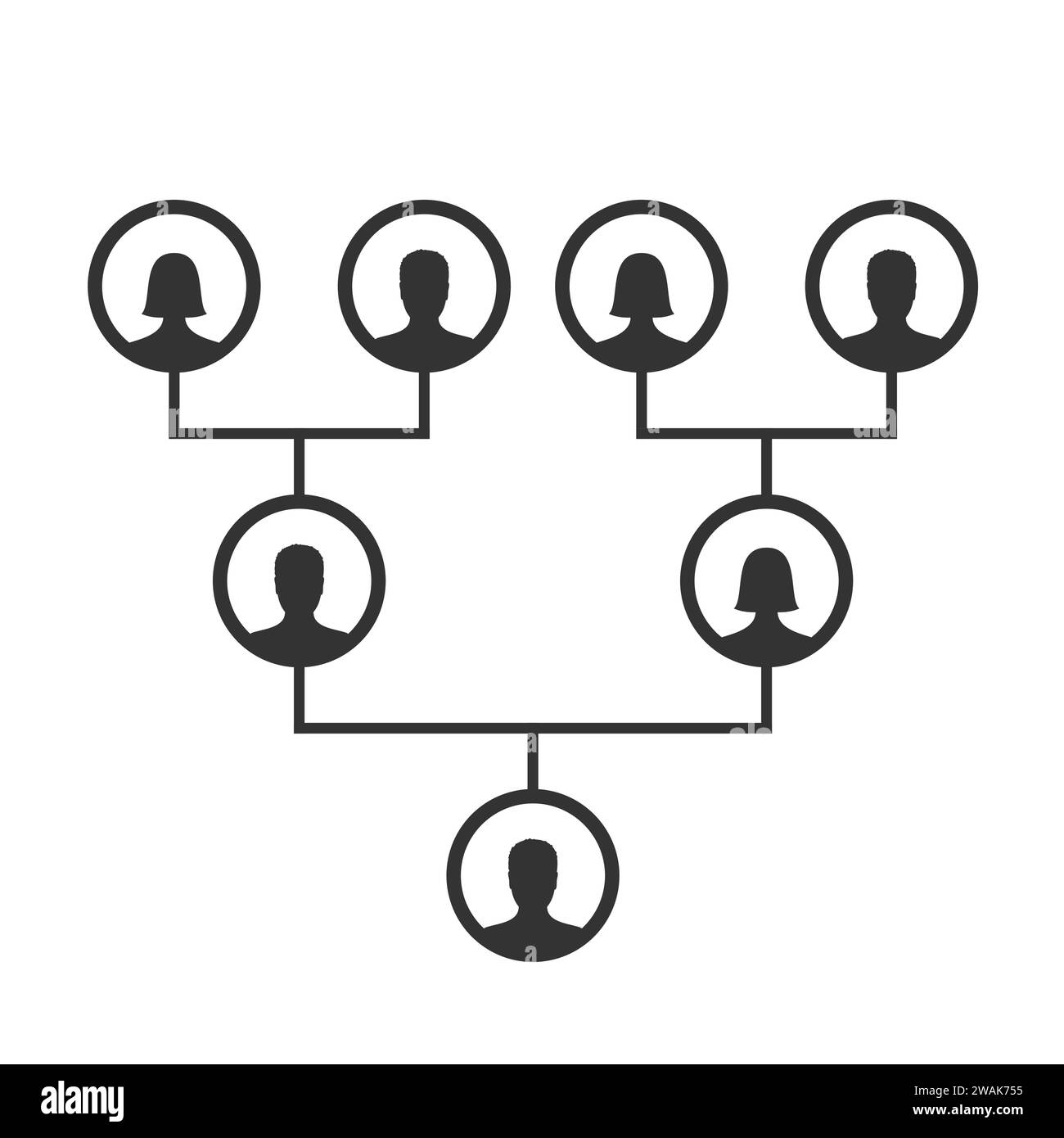 Modello di diagramma genealogico, genealogico o ancestrale. Icone genealogiche della famiglia avatar infografici ritratti in cornici circolari collegate da linee. Illustrazione Vettoriale