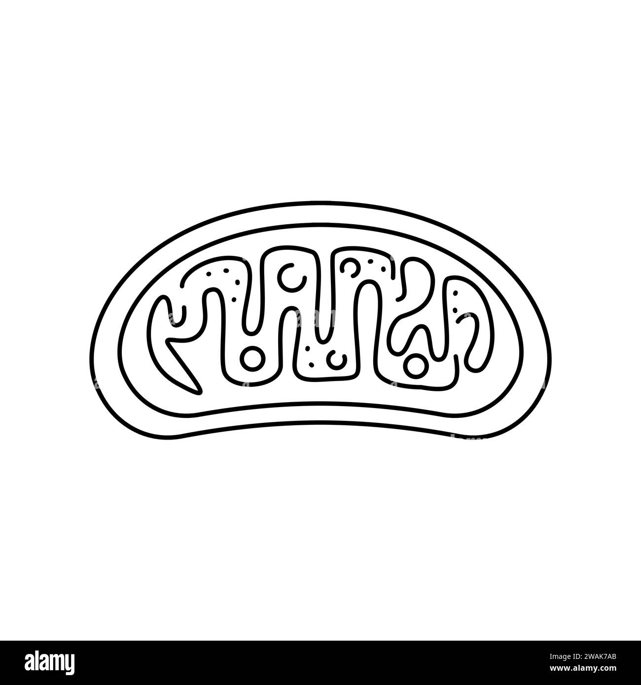 Icona linea colore Organelle. Organizzazione nell'organismo. Elemento isolato vettore. Tratto modificabile. Illustrazione Vettoriale