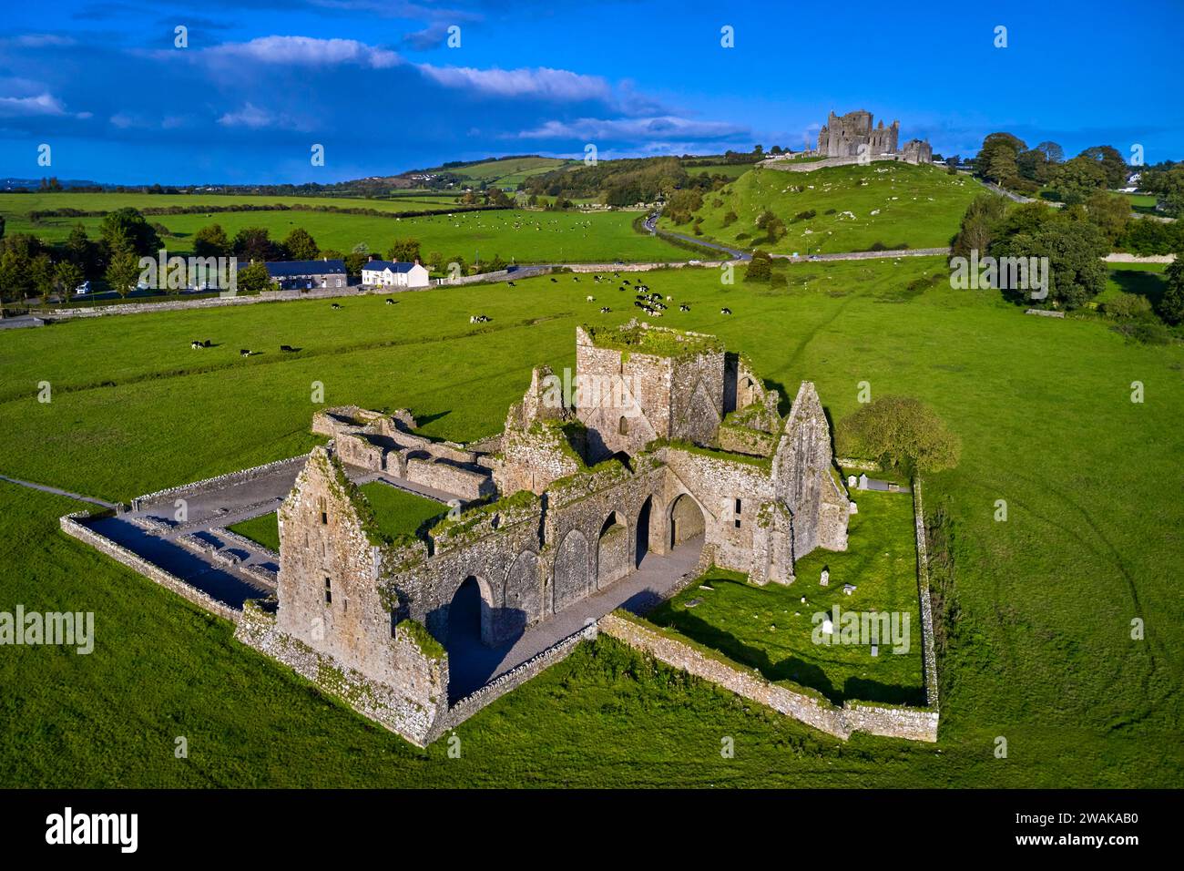 Repubblica d'Irlanda, Munster, contea di Tipperary, abbazia di Hore, monastero cistercense in rovina e la roccia di Cashel sullo sfondo Foto Stock