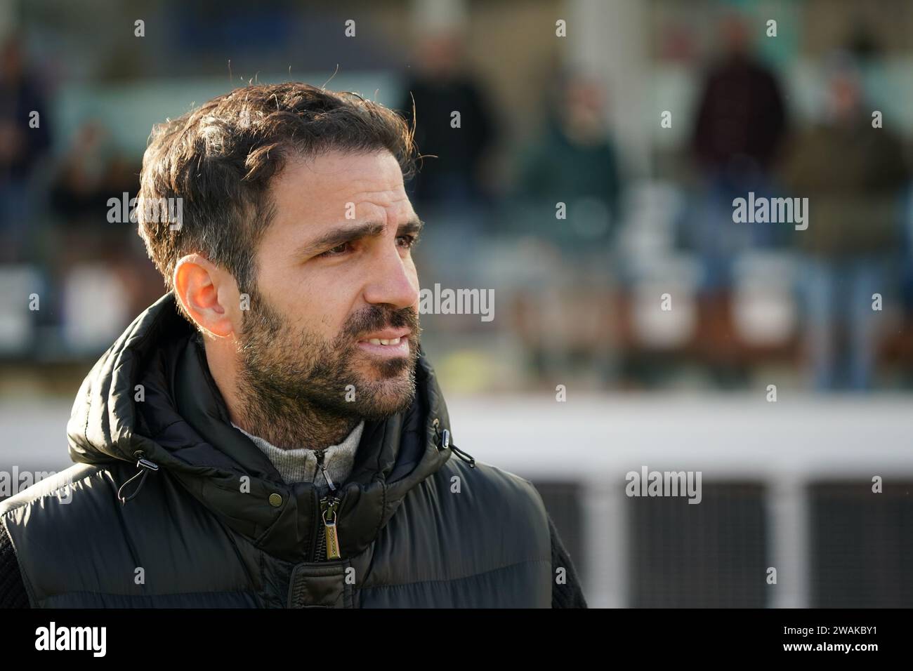 Brescia, Italia. 16 dicembre 2023. CESC Fabregas, Head Coach di Como 1907, durante Brescia calcio vs Como 1907 , serie B, allo Stadio Rigamonti. Crediti: Alessio Morgese/Alessio Morgese/Emage/Alamy live news Foto Stock