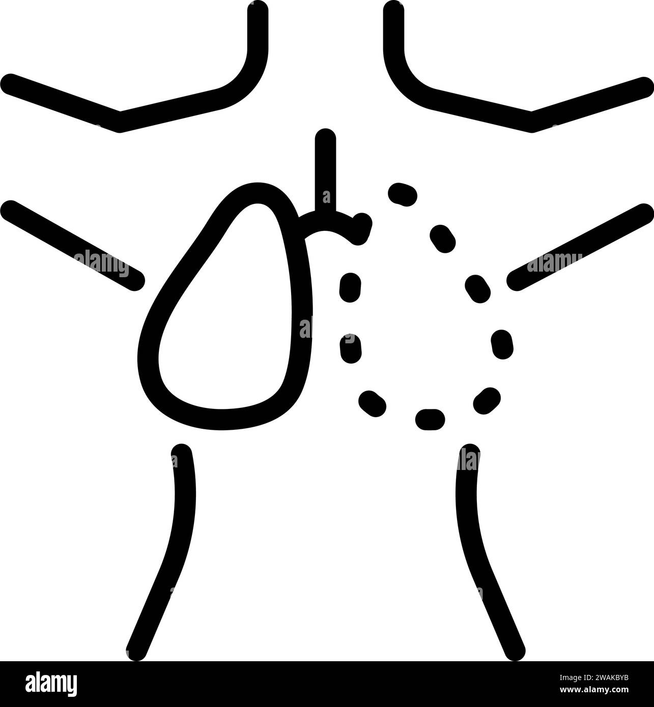 Icona lineare polmoni umani. Semplice illustrazione a linee. Anatomia del sistema respiratorio. Disegno del contorno isolato dal vettore. Illustrazione Vettoriale