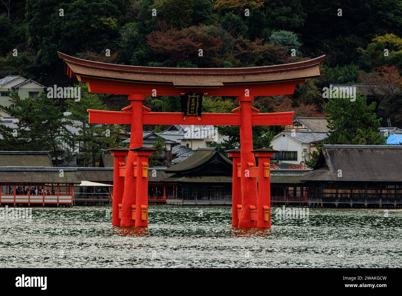la famosa porta torii rossa galleggiante dell'isola di miyajima nella baia di hiroshima di fronte al santuario di itsukushima Foto Stock