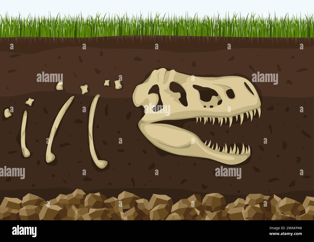 Scheletro fossile di dinosauro in strati di suolo, cranio rettile dei dinosauri . Archeologia ossa sepolte, antica preistoria estinta. Storia della vita sulla Terra conce Illustrazione Vettoriale
