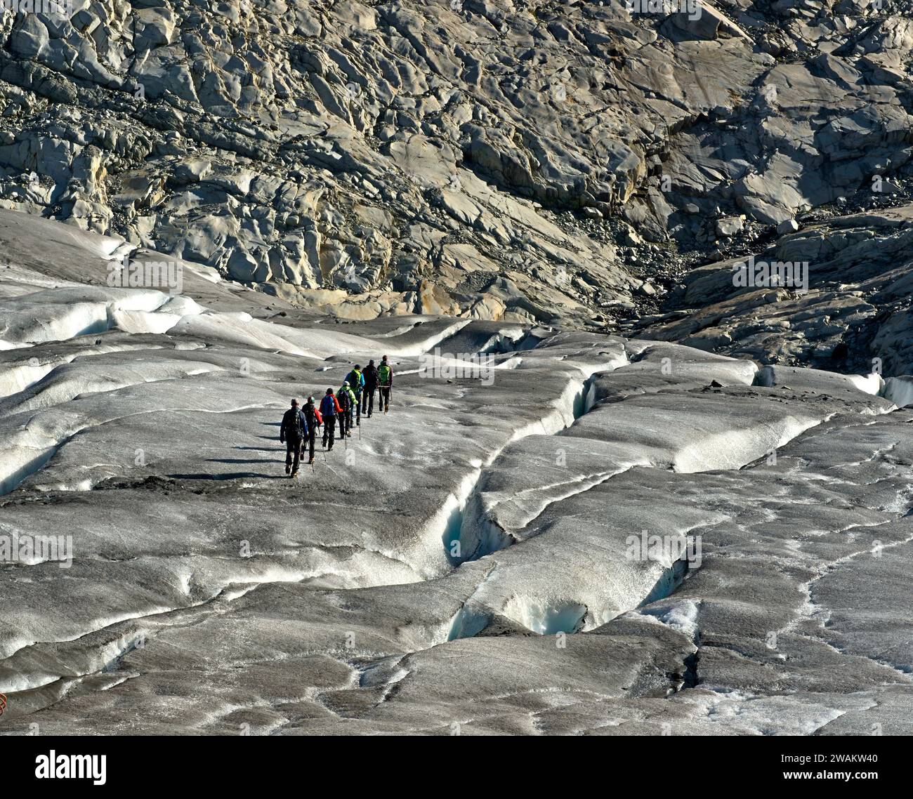 Escursionisti in un tour di trekking sul ghiacciaio del grande ghiacciaio Aletsch, Alpi svizzere patrimonio dell'umanità dell'UNESCO Jungfrau-Aletsch, Vallese, Svizzera Foto Stock