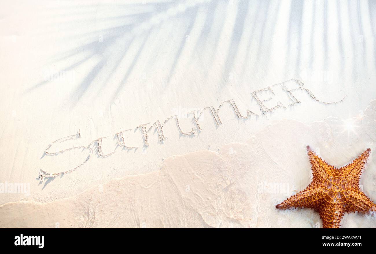 banner estivo per vacanze tropicali. spiaggia sabbiosa, ombra di palme e onde sull'orlo dell'acqua; banner per le vacanze estive con spazio copia Foto Stock
