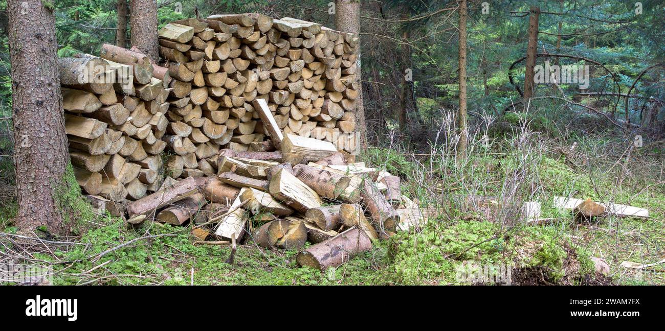 Legno - il dono della natura e la risorsa per il calore. Un mucchio diviso tra alberi, in attesa del suo scopo. Foto Stock