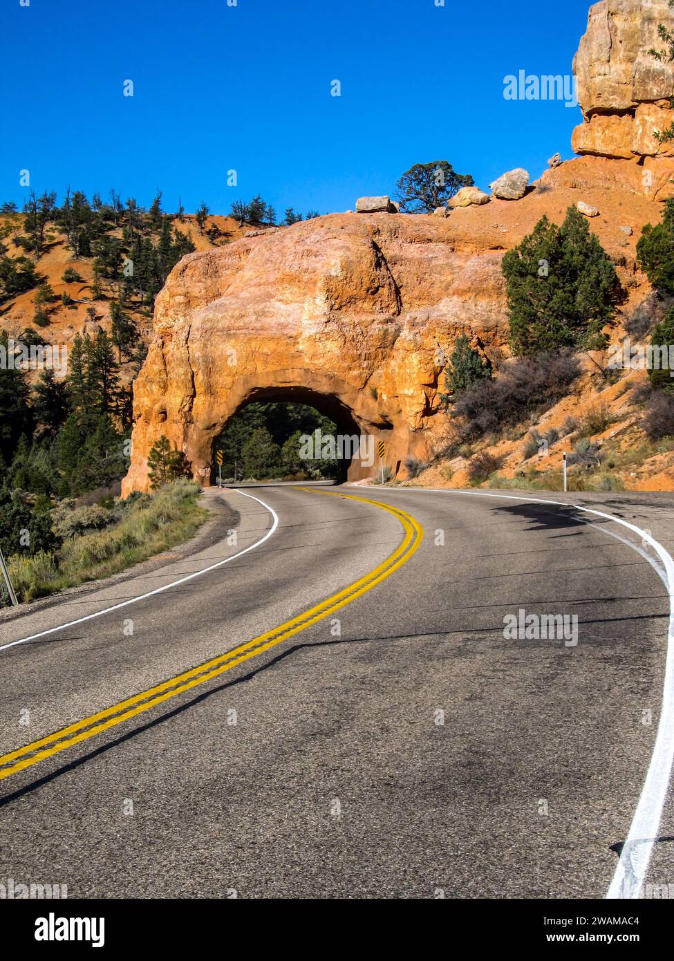 Arco apparentemente incantato sopra la strada, tagliato nelle pietre calcaree rosse del canyon rosso lungo la Scenic Byway 12 nello Utah. Foto Stock