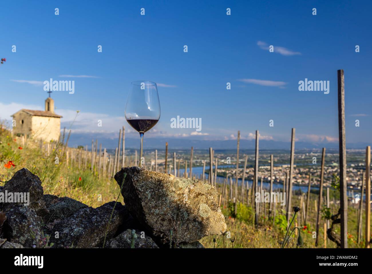 Vigneto Grand cru e Cappella di San Cristoforo, Tain l'Hermitage, Rodano-Alpi, Francia Foto Stock