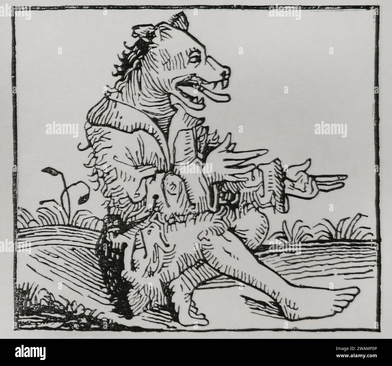 Mostri nati dal Diluvio. Uomo dalla testa di cane. Dopo l'incisione del legno nella "Chronique de Norimberga", stampata nel 1493. Sciences & Lettres au Moyen Age et à l'époque de la Renaissance. Parigi, 1877. Foto Stock