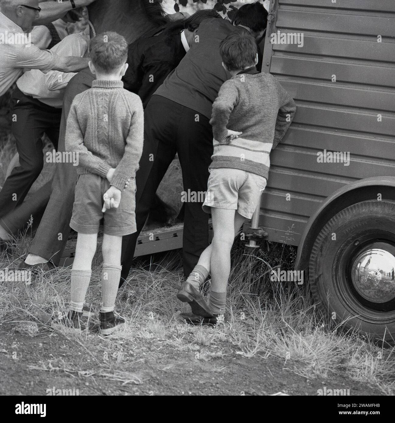 Anni '1970, storico, estivo e all'aperto in un campo due ragazzi che guardano un certo numero di uomini adulti che tentano di spingere un cavallo nel suo rimorchio a ruote o nel suo box per cavalli all'aperto in una fiera del vapore, Inghilterra, Regno Unito. Foto Stock
