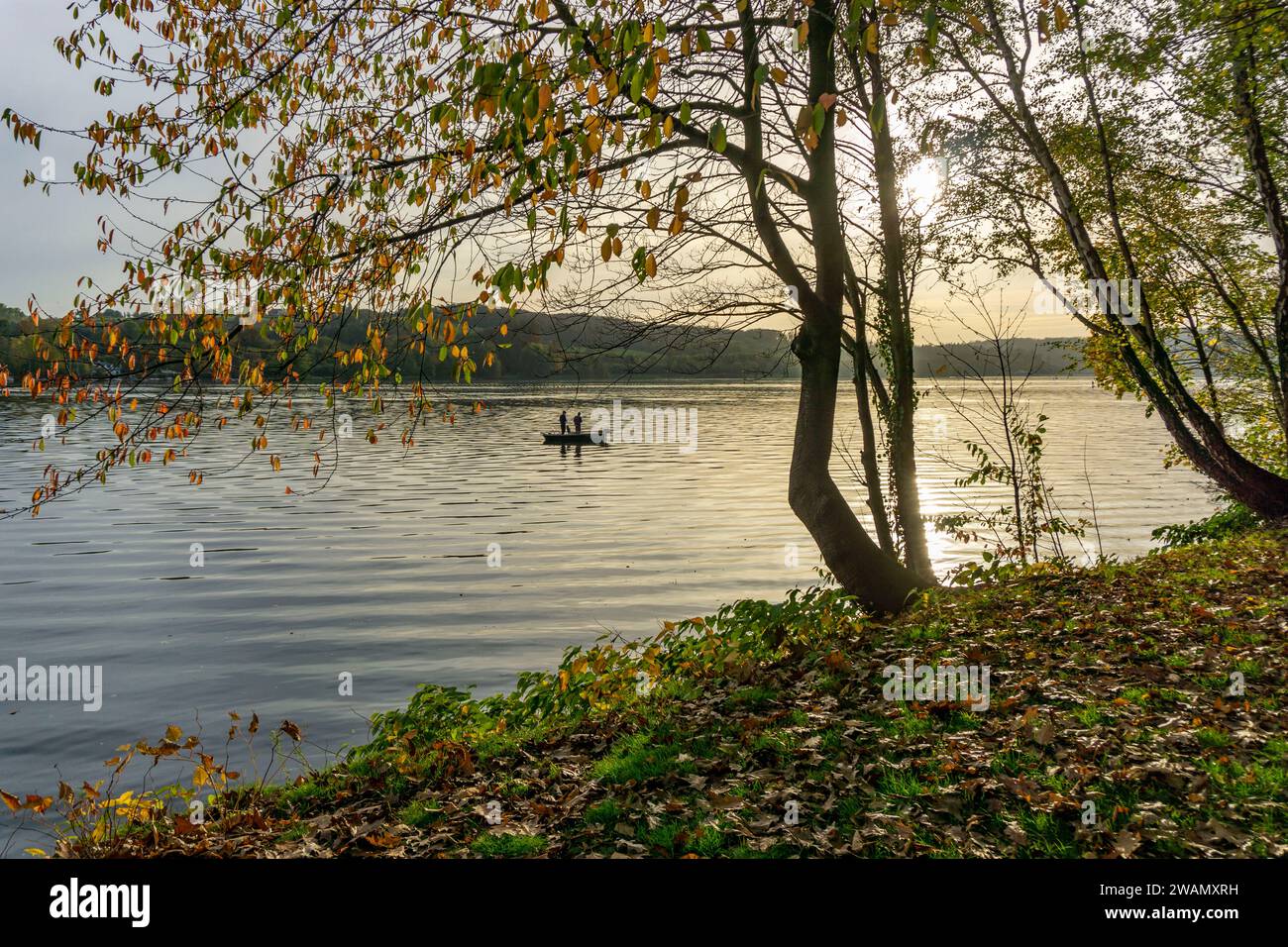Lago Baldeney, autunno, barche a remi con pescatori, Essen, NRW, Germania, Foto Stock