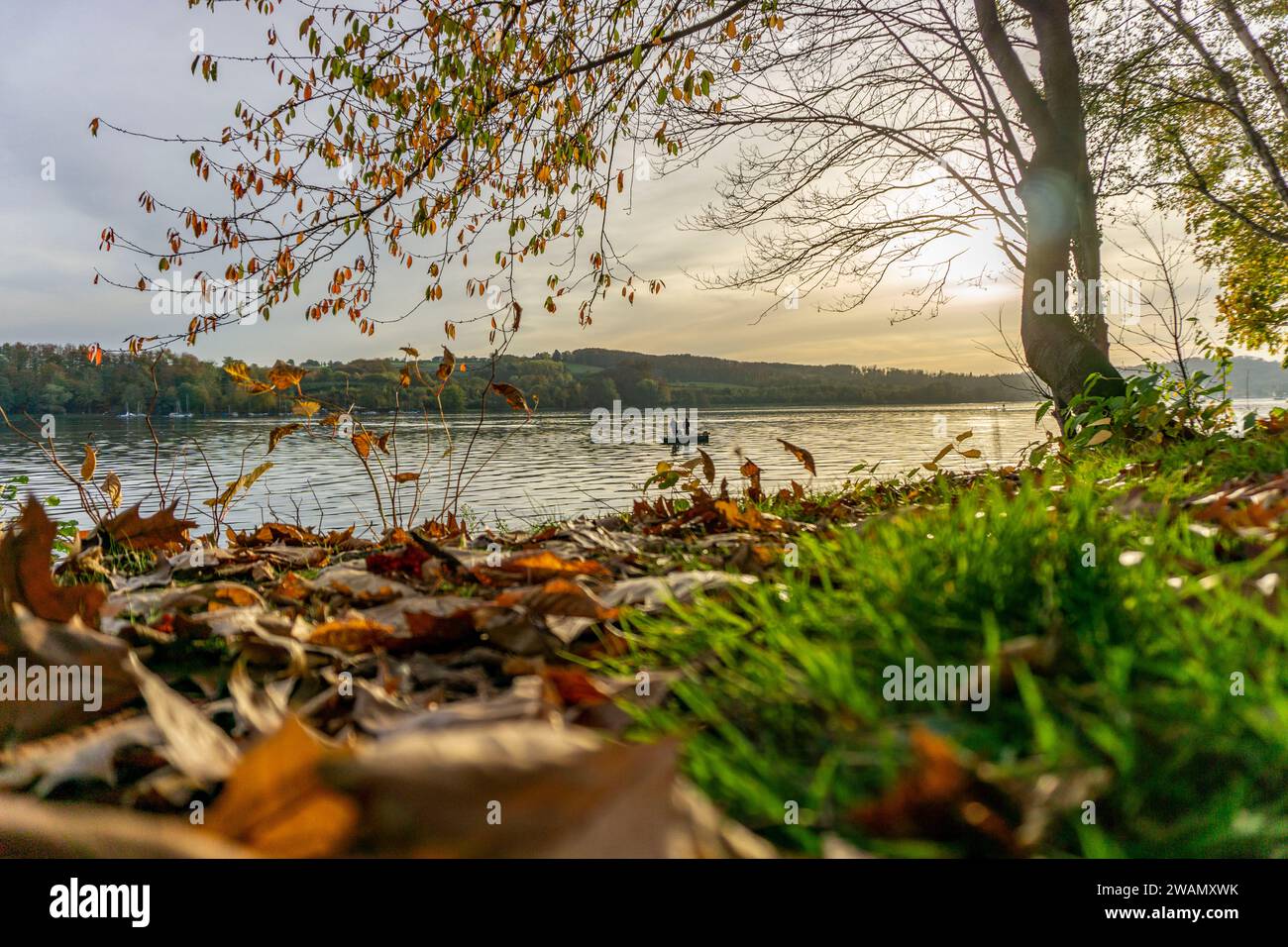 Lago Baldeney, autunno, barche a remi con pescatori, Essen, NRW, Germania, Foto Stock