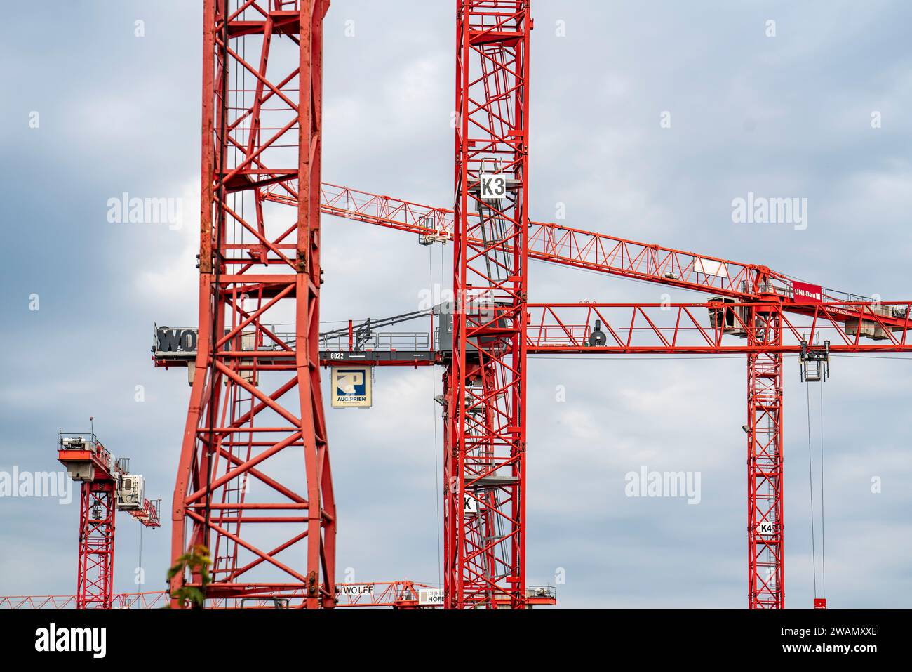 Gru edili in un grande cantiere a Düsseldorf, Deiker Höfe, NRW, Germania, Foto Stock