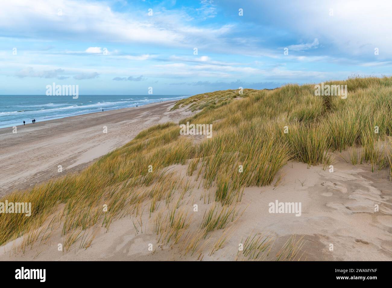 Paesaggio delle dune di sabbia con persone che camminano lungo la spiaggia del Mare del Nord, Fiandre, Belgio. Foto Stock