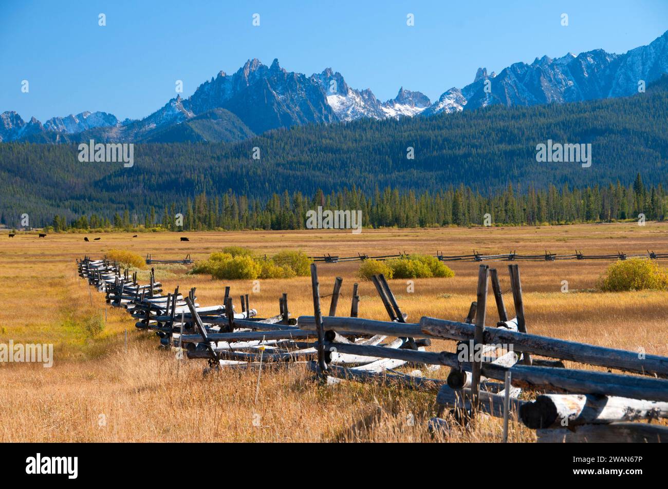 Prato recinto Ponderosa Pine Scenic Byway, Sawtooth National Recreation Area, Idaho Foto Stock