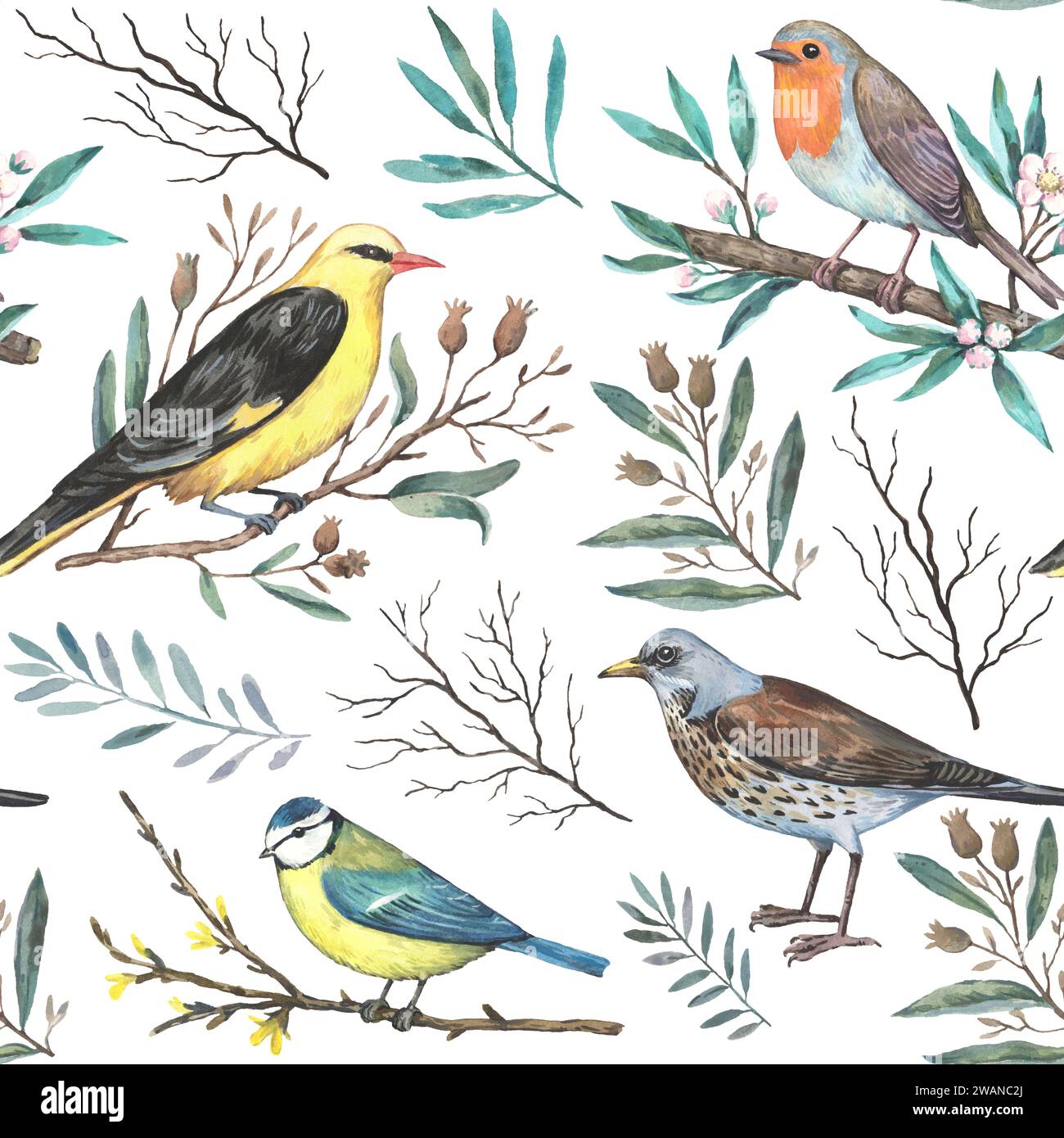 Motivo ad acquerello con uccelli primaverili da giardino sui rami in fiore. Stampa disegnata a mano in stile retrò per il design e il tessuto. Foto Stock