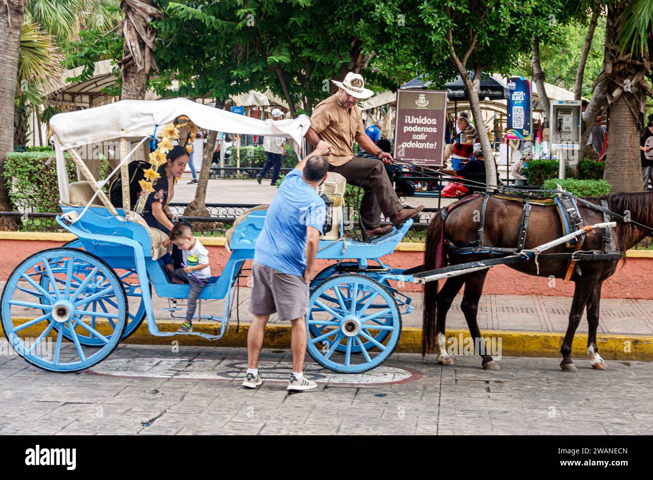 Merida Mexico, centro historico, centro storico, carrozza trainata da cavalli kalesa, Calle 62, uomo uomo uomo uomo, donna donna donna donna donna donna, adulto residente Foto Stock