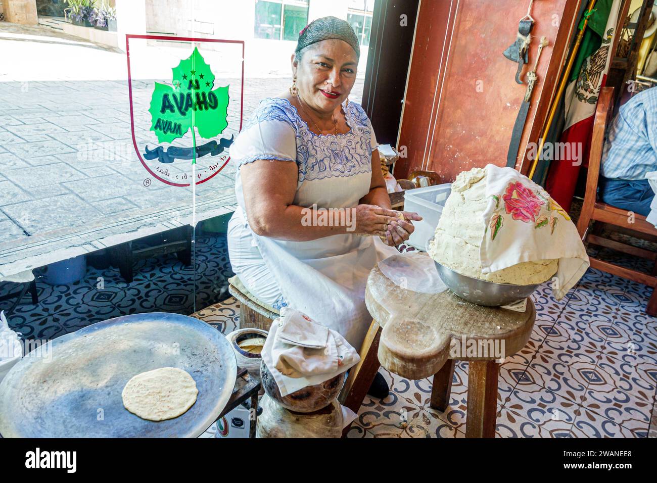 Merida Mexico, centro storico, quartiere storico centrale, dimostrazione di produzione di tortillas, la Chaya Maya, cibo Yucateca, donna donna donna donna donna donna donna, adulto, resi Foto Stock
