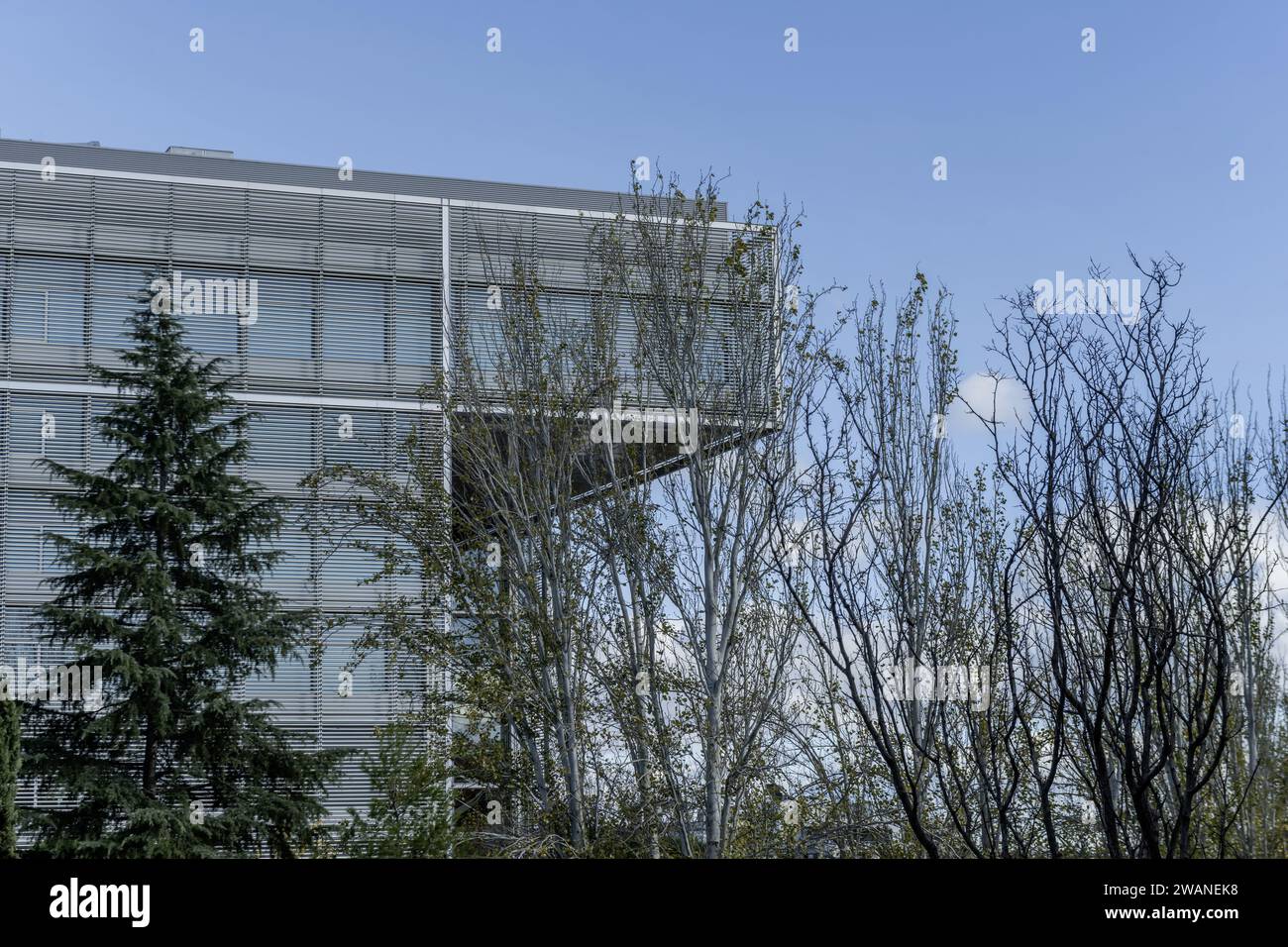 Facciate di edifici di uffici moderni circondati da alberi Foto Stock