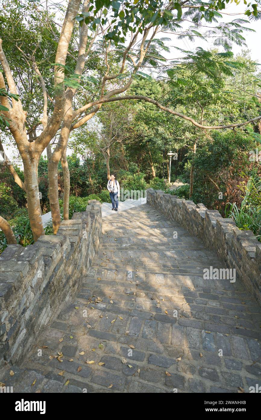 SHENZHEN, CINA - 18 NOVEMBRE 2019: Scale al Parco Xiaonanshan di Shenzhen di giorno. Foto Stock