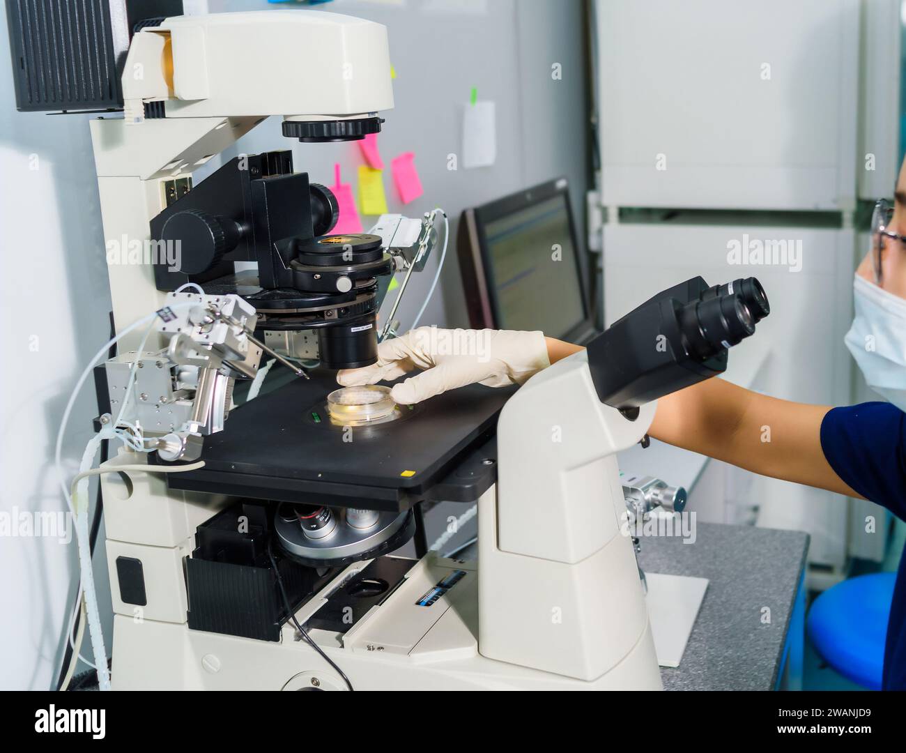 Medico che utilizza micromanipolatore IVF con piastra Petri su di esso per inseminazione dell'uovo nel laboratorio di fecondazione in vitro. Foto Stock