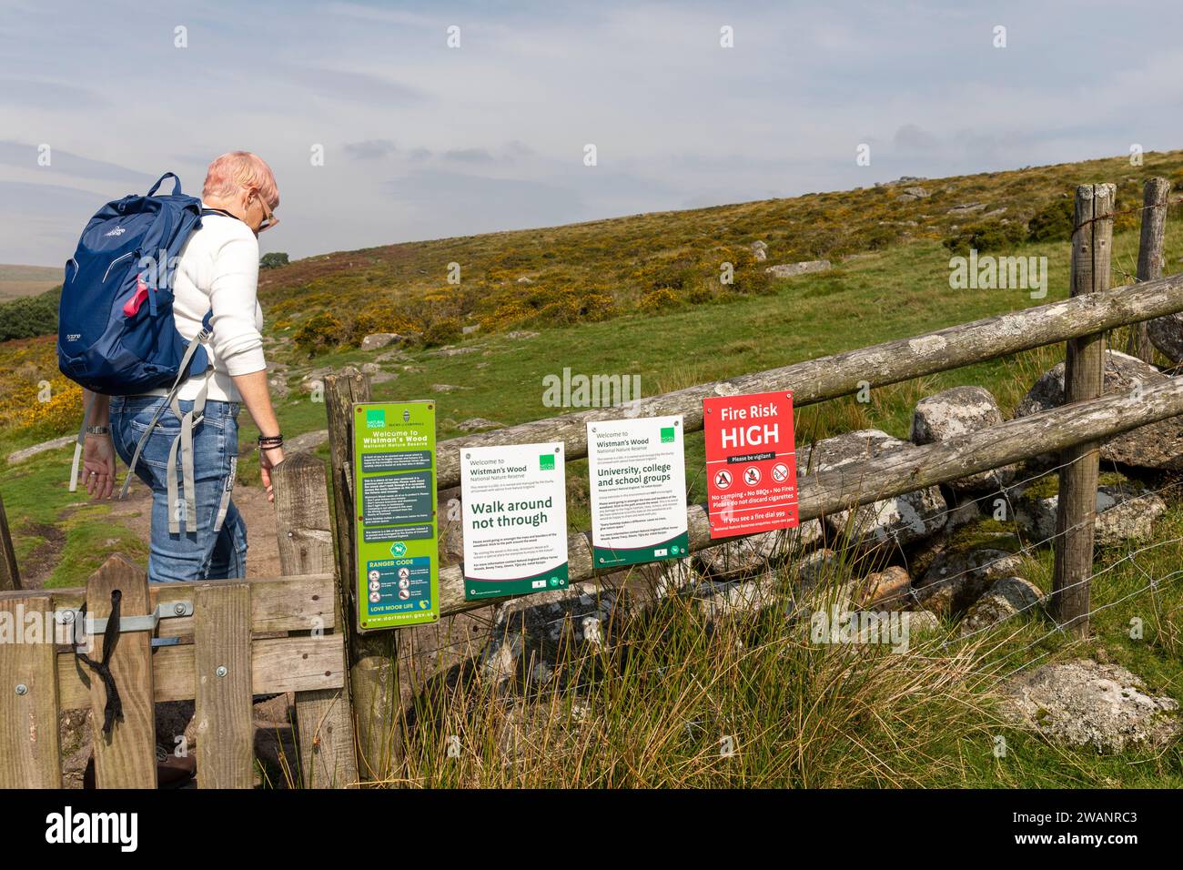 Donna escursionista dei suoi cinquant'anni, legata al modello, attraversa uno stile nel parco nazionale di Dartmoor camminando nella valle di West Dart verso il bosco di Wistmans, Inghilterra, 2023 Foto Stock