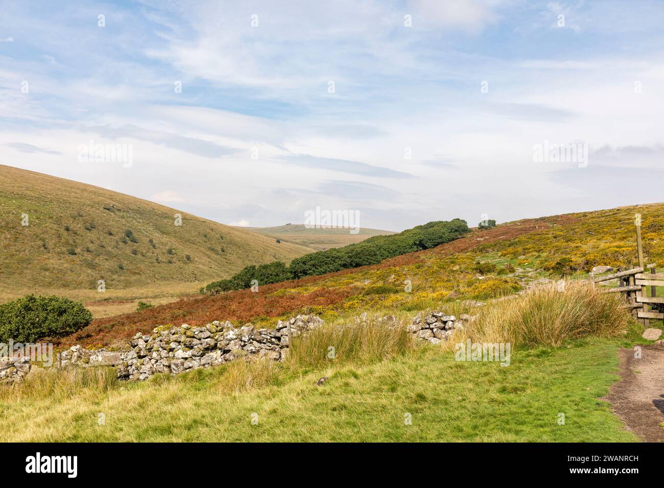 Parco nazionale di Dartmoor, vista sul bosco di Wistmans, sito di particolare interesse scientifico, Devon, Inghilterra, Regno Unito, 2023 Foto Stock