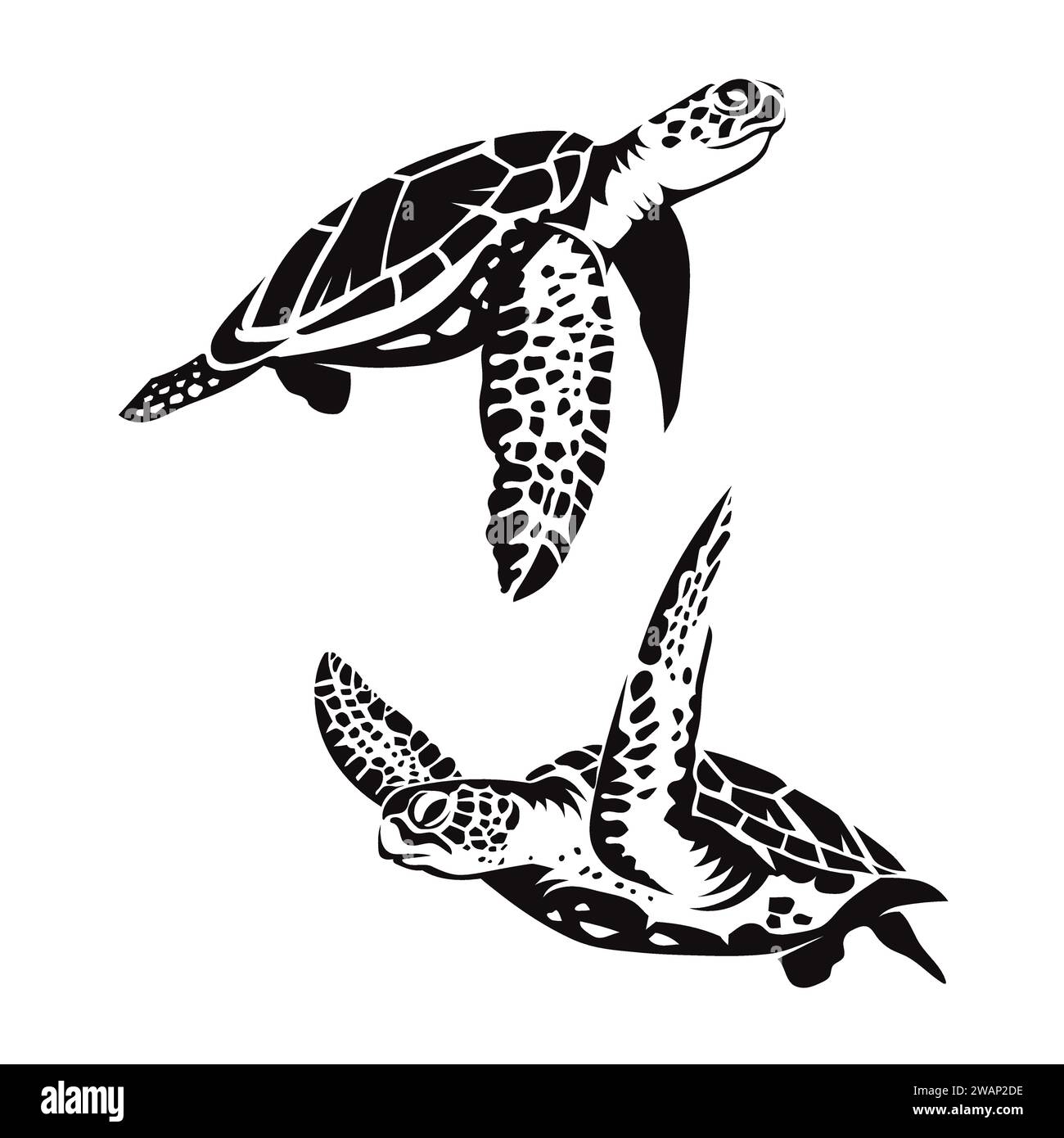 illustrazione vettoriale di due tartarughe marine che nuotano Illustrazione Vettoriale