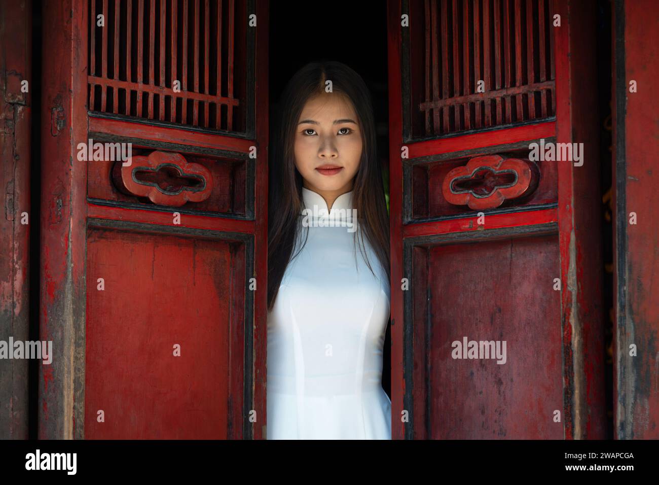 Ritratto di una donna in tradizionale abito vietnamita Ao dai al Tempio della Letteratura di Hanoi, Vietnam Foto Stock