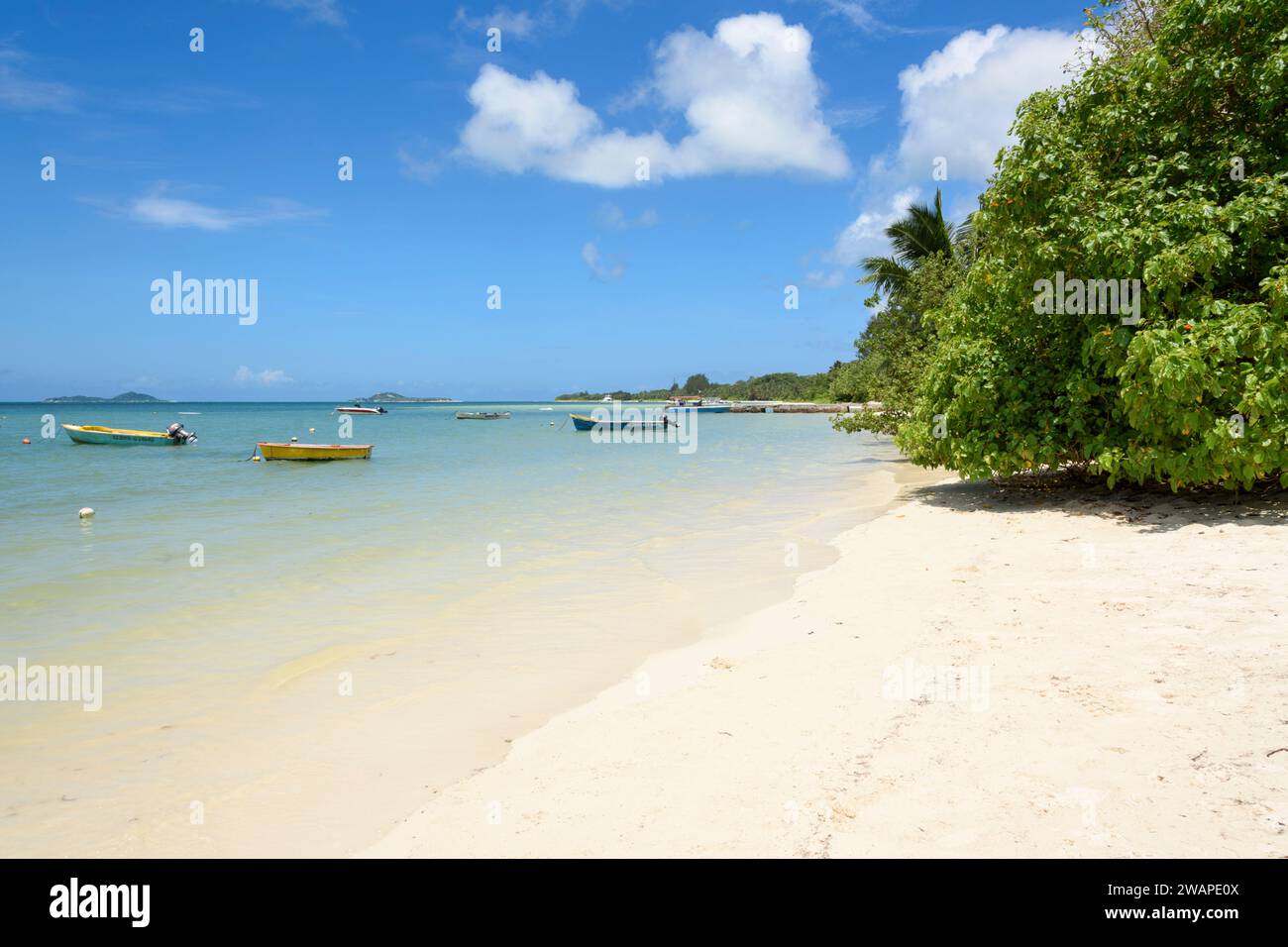Spiaggia di Grand Anse, isola di Praslin, Seychelles, Oceano Indiano Foto Stock