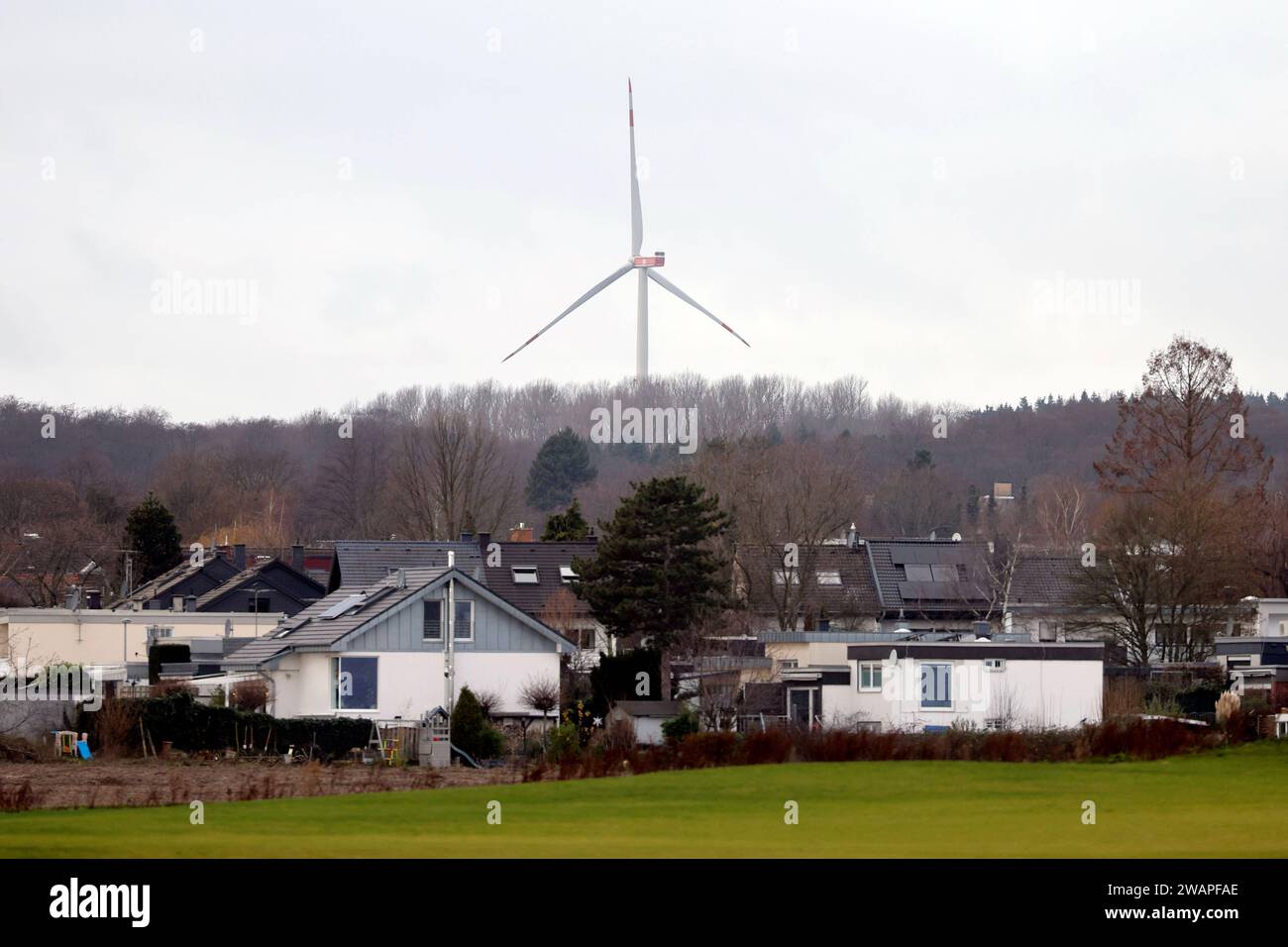 Ein Windrad steht im Königsdorfer Forst bei Königsdorf. Windenergieanlagen dürfen in Nordrhein-Westfalen suora in unter 1000 Meter Entfernung zu Wohnsiedlungen gebaut werden. In den meisten anderen Bundesländern besteht die Regelung weiterhin. Themenbild, Symbolbild Frechen, 04.01.2024 NRW Deutschland *** Una turbina eolica si trova a Königsdorfer Forst vicino a Königsdorf turbine eoliche nella Renania settentrionale-Vestfalia possono ora essere costruite a meno di 1000 metri di distanza dalle zone residenziali della maggior parte degli altri stati federali, il regolamento continua ad applicare l'immagine a tema, immagine simbolica Frechen, 04 01 2024 NRW Germania Copyrigh Foto Stock