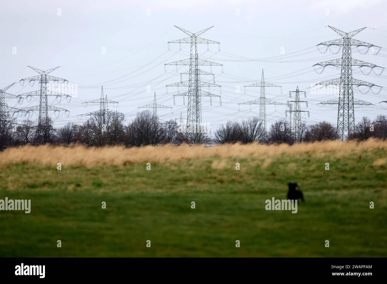 Strommasten stehen auf einem Feld bei Königsdorf. Themenbild, Symbolbild Frechen, 04.01.2024 NRW Deutschland *** tralicci elettrici in un campo vicino a Königsdorf immagine a tema, immagine simbolica Frechen, 04 01 2024 NRW Germania Copyright: XChristophxHardtx Foto Stock