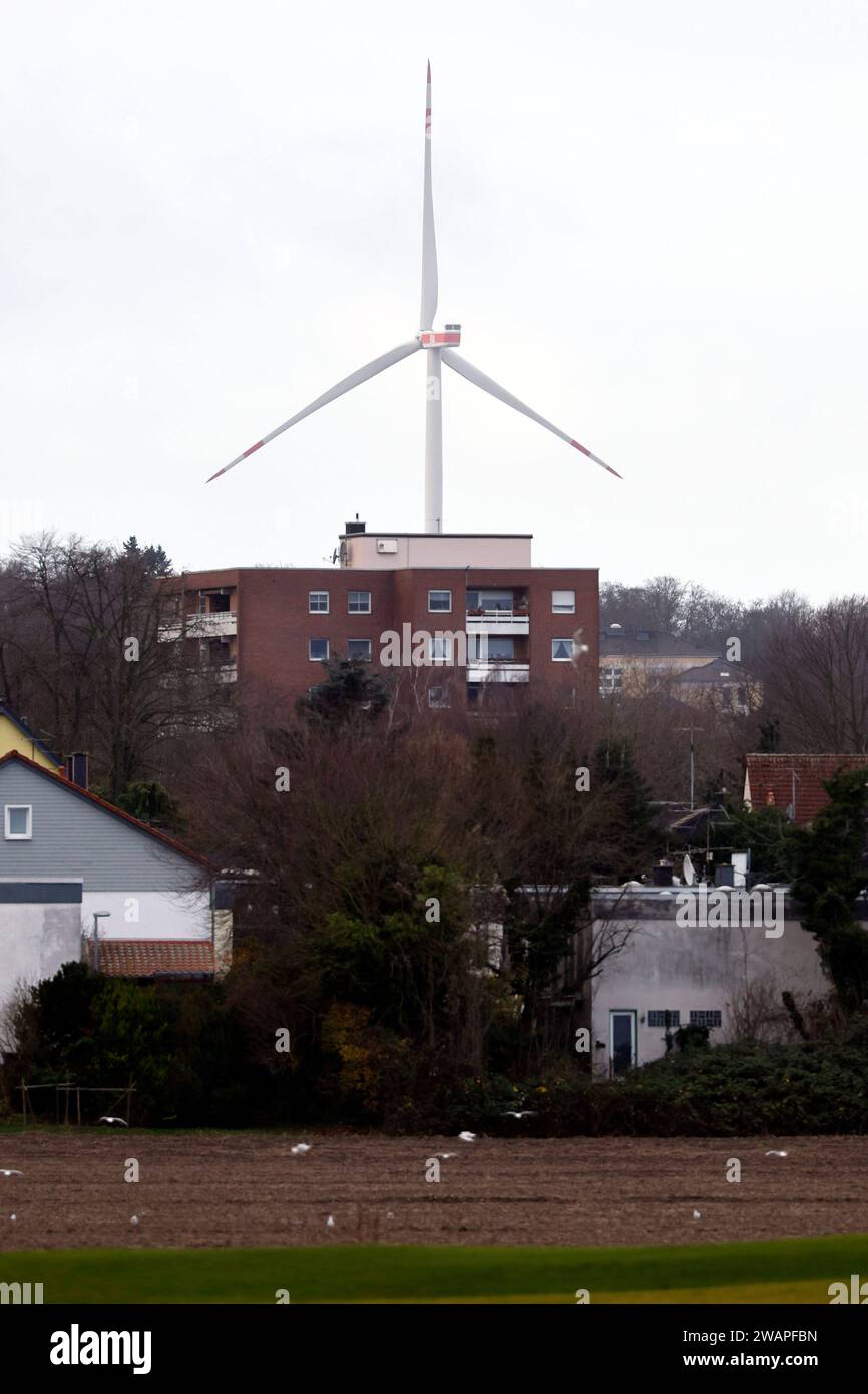 Ein Windrad steht im Königsdorfer Forst bei Königsdorf. Windenergieanlagen dürfen in Nordrhein-Westfalen suora in unter 1000 Meter Entfernung zu Wohnsiedlungen gebaut werden. In den meisten anderen Bundesländern besteht die Regelung weiterhin. Themenbild, Symbolbild Frechen, 04.01.2024 NRW Deutschland *** Una turbina eolica si trova a Königsdorfer Forst vicino a Königsdorf turbine eoliche nella Renania settentrionale-Vestfalia possono ora essere costruite a meno di 1000 metri di distanza dalle zone residenziali della maggior parte degli altri stati federali, il regolamento continua ad applicare l'immagine a tema, immagine simbolica Frechen, 04 01 2024 NRW Germania Copyrigh Foto Stock