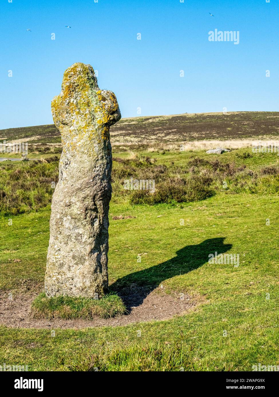 Bennett's Cross, una delle tante croci di Dartmoor. È stato suggerito che questa croce fosse originariamente una pietra preistorica. Foto Stock
