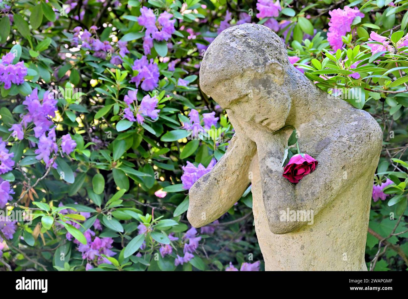 Il lutto (figura in pietra) con un fiore davanti alla boccola rododendro Foto Stock