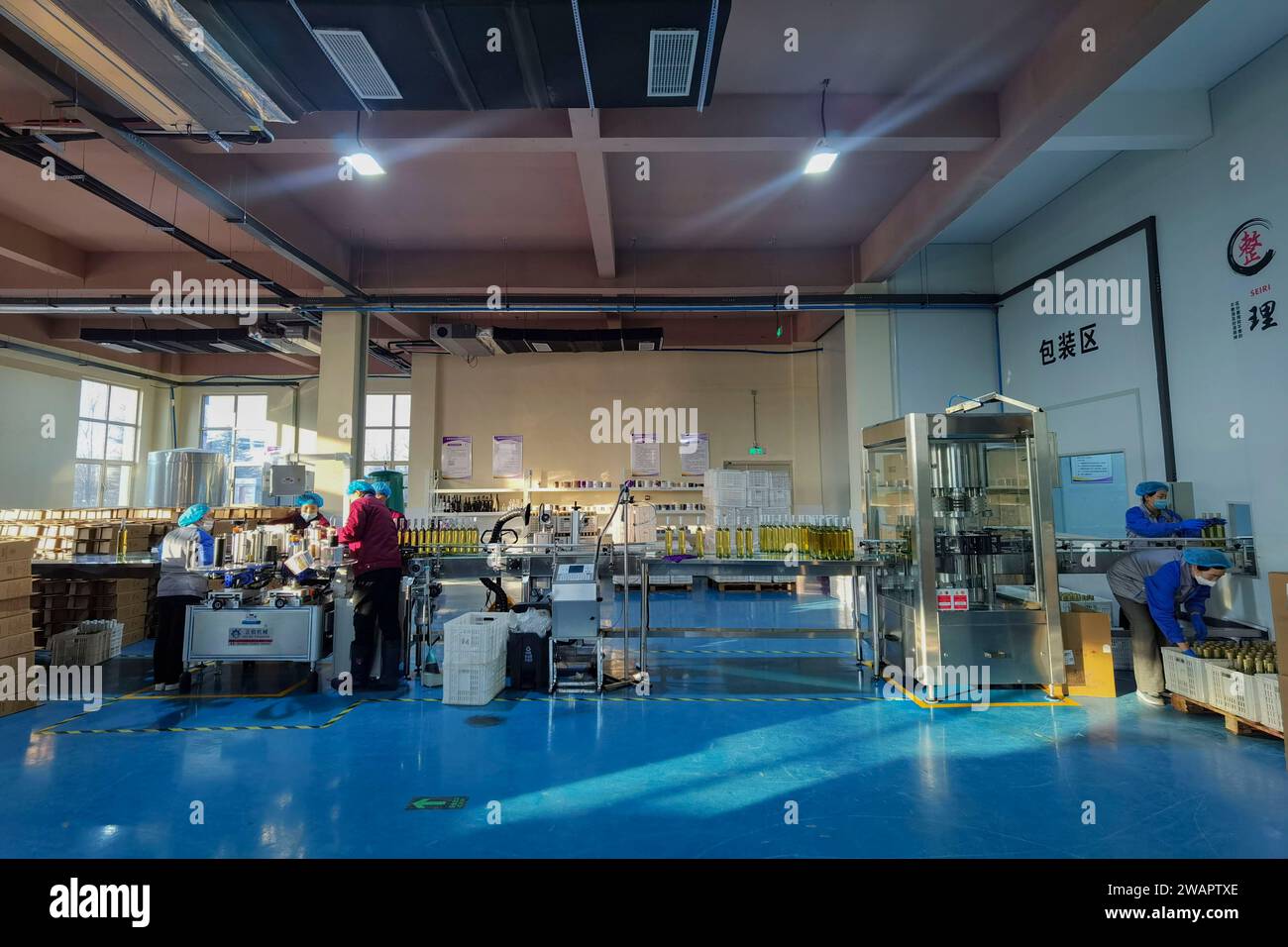 QINGDAO, CINA - 5 GENNAIO 2024 - i dipendenti lavorano a una linea di produzione di vino da frutta in una fabbrica di vino da frutta a Qingdao, nella provincia dello Shandong nella Cina orientale, Foto Stock
