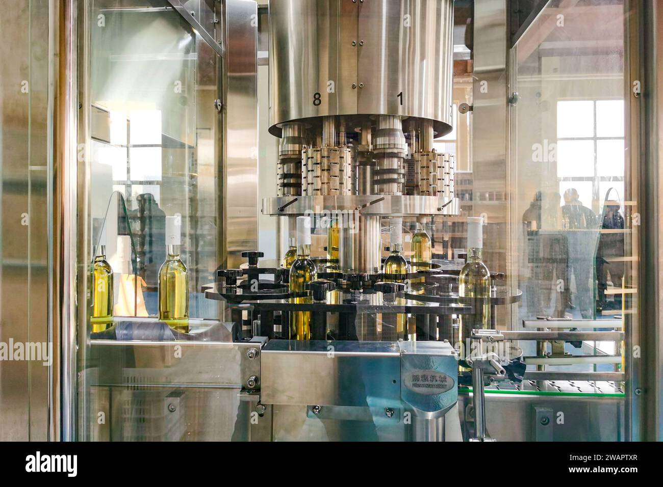 QINGDAO, CINA - 5 GENNAIO 2024 - i dipendenti lavorano a una linea di produzione di vino da frutta in una fabbrica di vino da frutta a Qingdao, nella provincia dello Shandong nella Cina orientale, Foto Stock