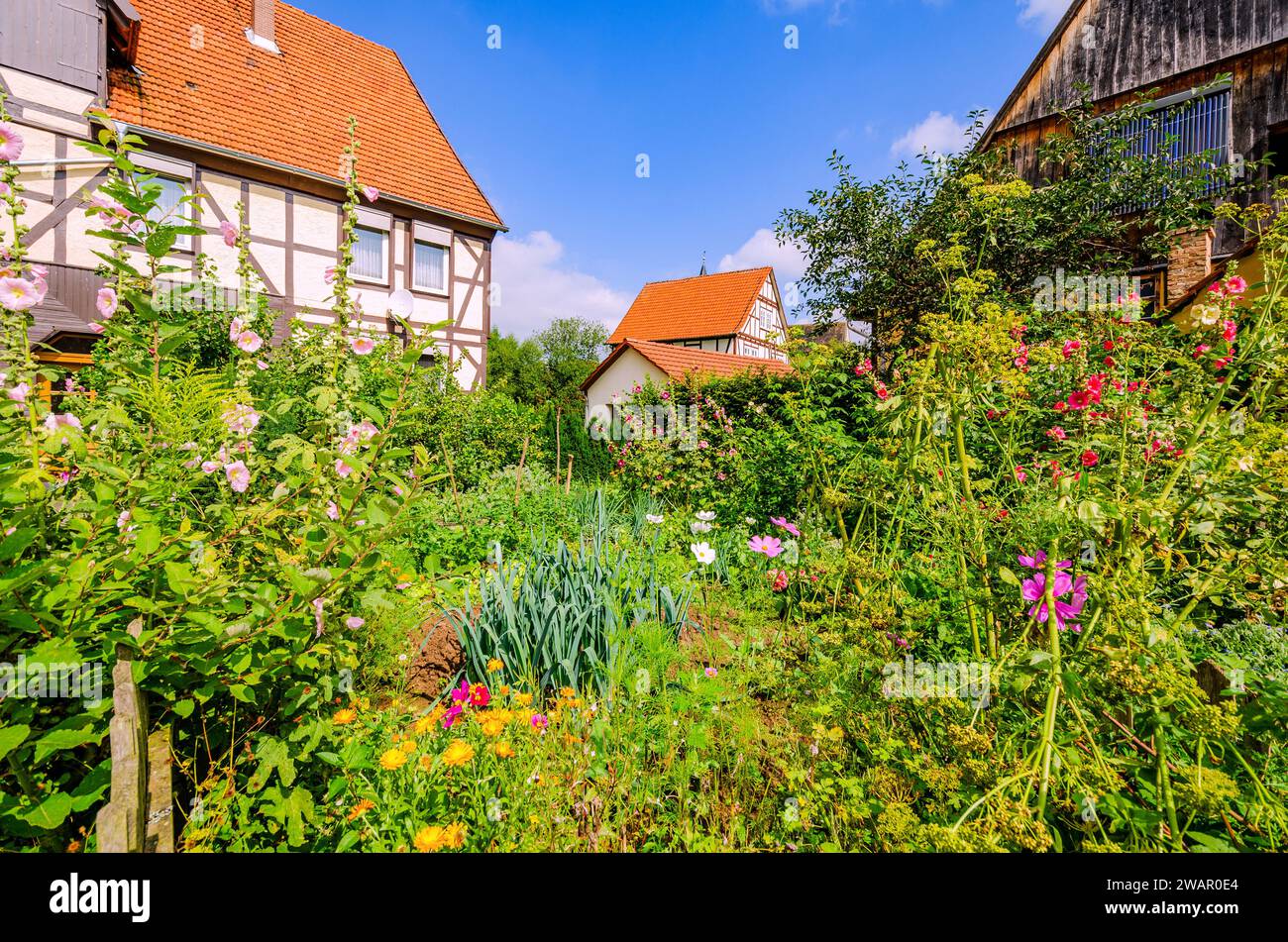 Giardino di cottage di fronte a case in legno in una zona rurale nell'Assia settentrionale, Germania Foto Stock