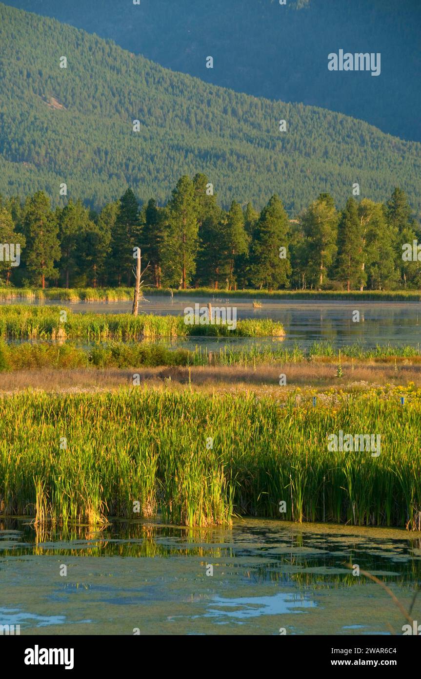 Piatto di acquitrini, Lee Metcalf National Wildlife Refuge, Montana Foto Stock