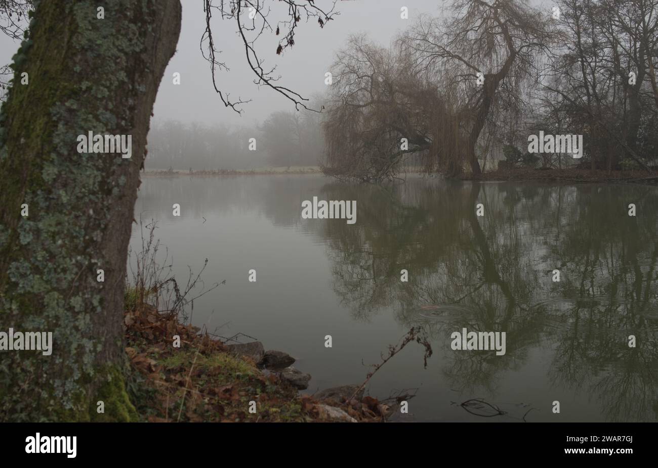 Scenario invernale di un lungolago nebbioso con riflessi d'acqua al Parco Schönbusch, Aschaffenburg, Baviera, Germania Foto Stock