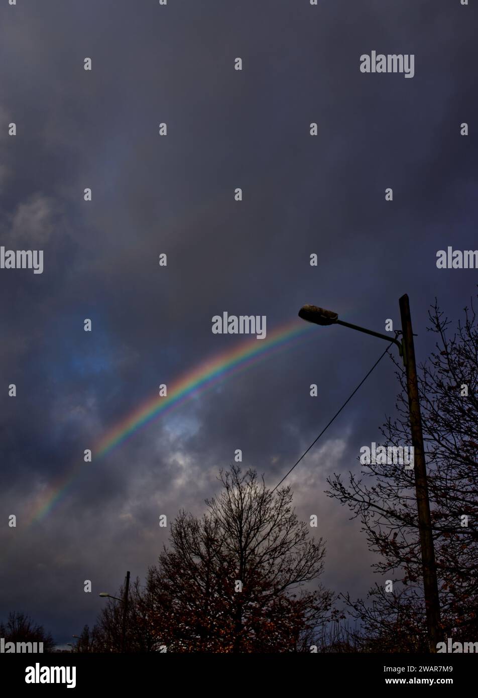 Doppio arcobaleno su un lampione stradale e sulla cima di un albero senza foglie in un cielo nuvoloso grigio-blu Foto Stock