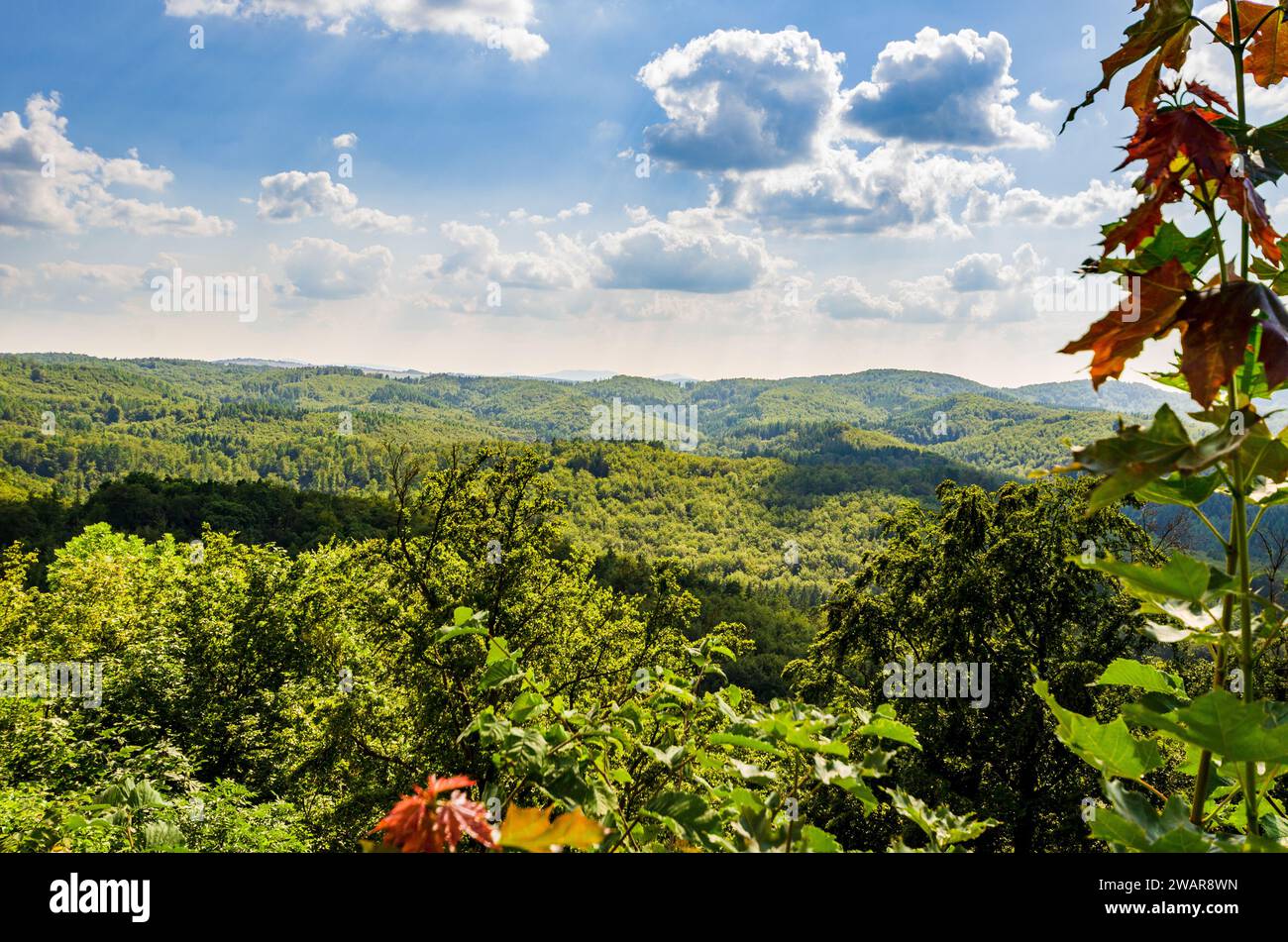 Vista panoramica dal castello di Wartburg nella Foresta Turingia, Eisenach, Turingia, Germania Foto Stock