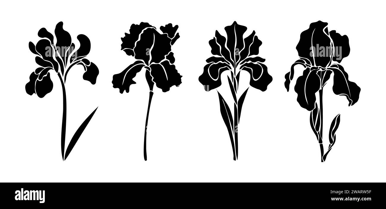 Silhouette di Irises febbraio mese di nascita fiori Illustrazione Vettoriale