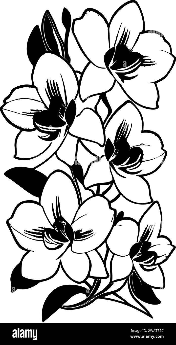 semplice disegno nero silhouette di fiori di orchidea, design Foto Stock