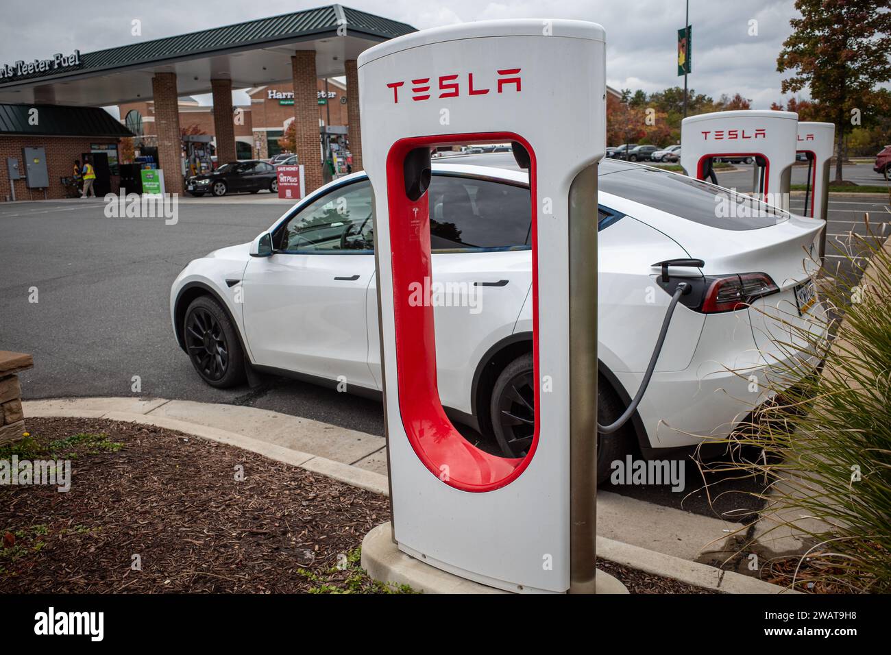 La nuova era dei trasporti. Una Tesla Model Y in bianco è parcheggiata in una stazione di ricarica fuori Harris Teeter ad Ashburn, Virginia. Foto Stock